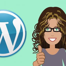 Choosing and Installing a WordPress Theme