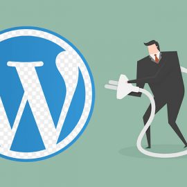 Why You Should Avoid Too Many WordPress Plugins