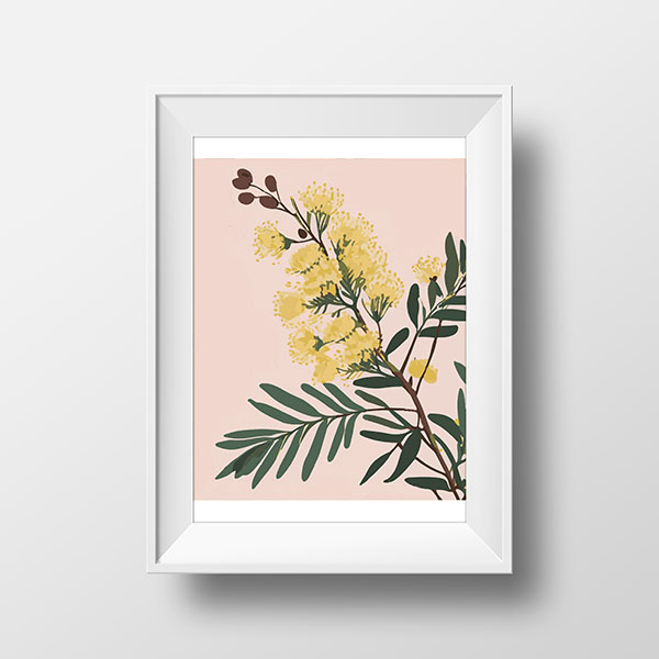 Wattle Pink | Rimidesigns